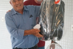 TOM00349