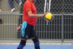TOM00329