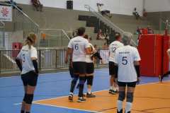 1_TOM00557