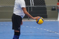 1_TOM00633