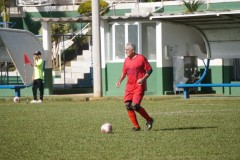 TOM00141