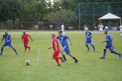 TOM00817