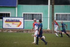 TOM00377