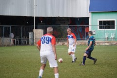 TOM00503