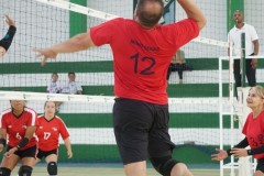 TOM01003
