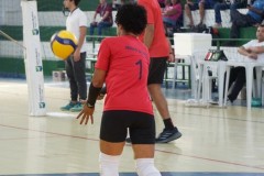 TOM01145