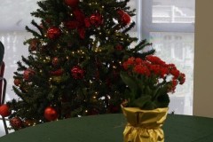Natal2025aeamg-132