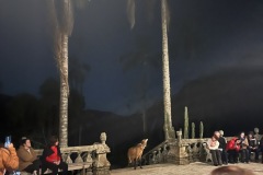 IMG_1285