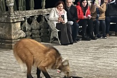 IMG_1290