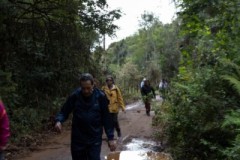 IMG_9906