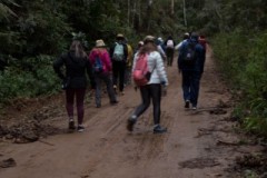 IMG_9908