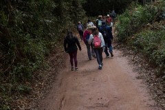 IMG_9912