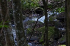 IMG_9921