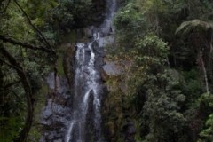 IMG_9947
