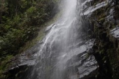 IMG_9957