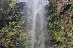 WhatsApp-Image-2025-08-31-at-10.51.51